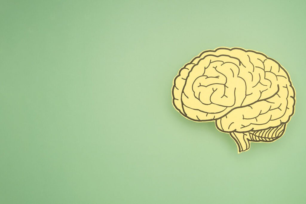 Cerebro hecho de papel sobre fondo verde, ilustrando la relación entre alimentación y salud cerebral