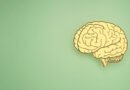 Cerebro hecho de papel sobre fondo verde, ilustrando la relación entre alimentación y salud cerebral