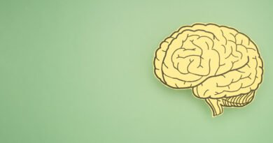 Cerebro hecho de papel sobre fondo verde, ilustrando la relación entre alimentación y salud cerebral