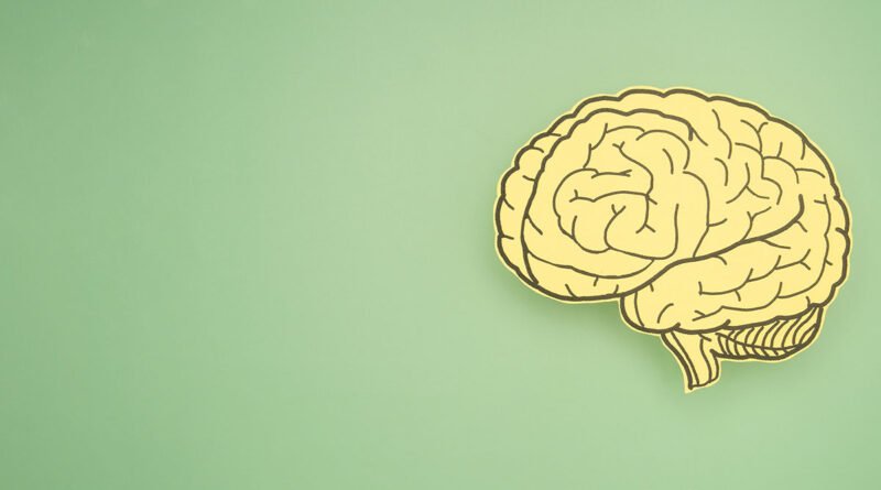 Cerebro hecho de papel sobre fondo verde, ilustrando la relación entre alimentación y salud cerebral